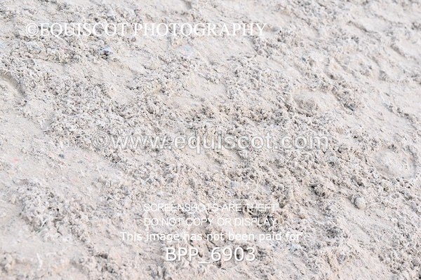 BPP_6903 - RING 1  (RIDDEN HORSES / IN HAND / VETERAN ETC)