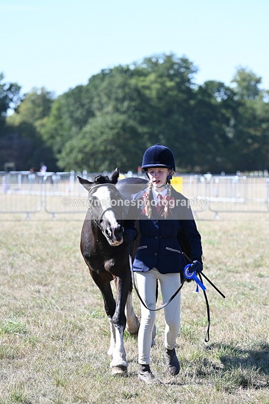 WJ7_1958 - Class 43 Best Six Legs (In hand)