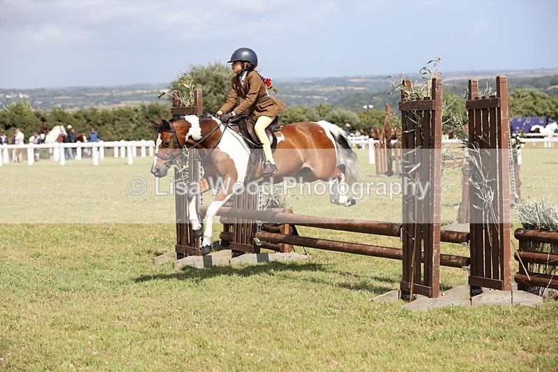 JPP_2153 - Class 19: Working Hunter 60cm