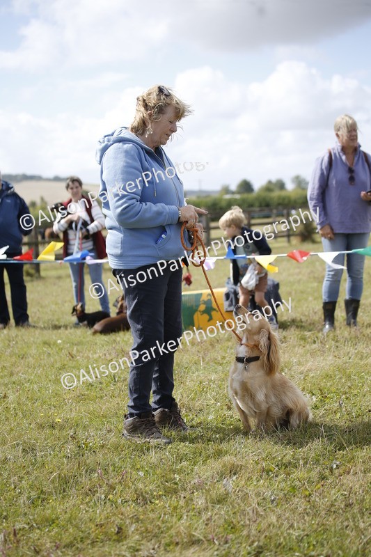 20250831-3645 - Dog Show