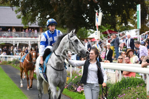 yr04092022r5-13 - Race 5 4.05pm Little Green Rascals Children's Nurseries Stakes