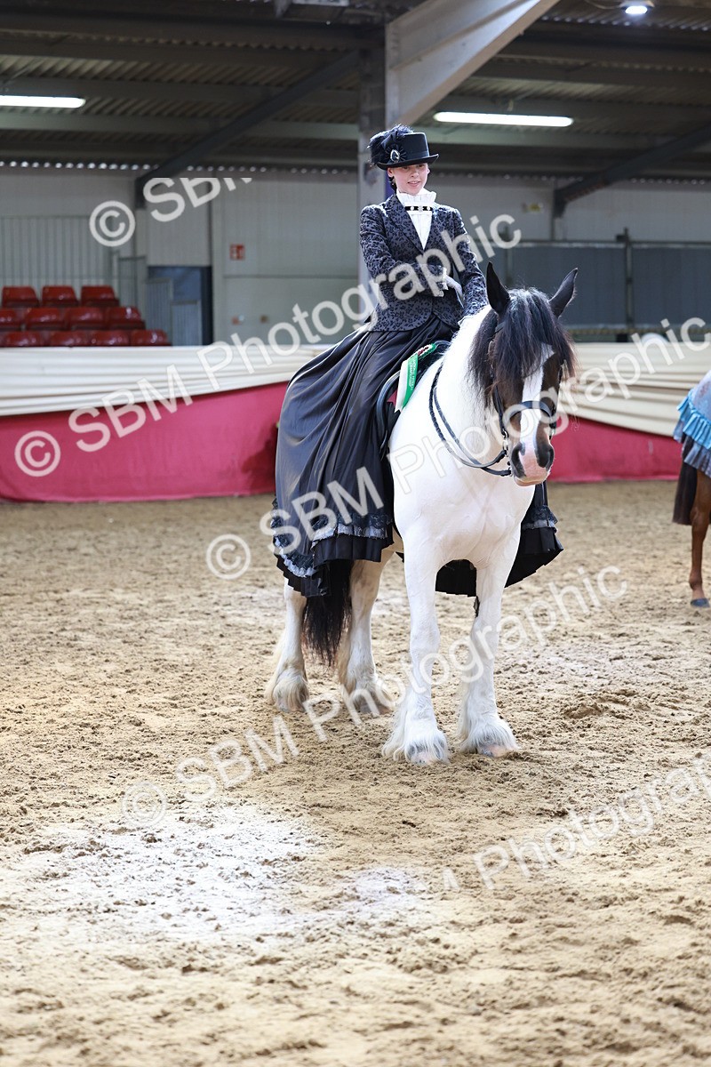 SBM_13824 - Class 106 - Ridden Costume -Astride Adult (15-19)