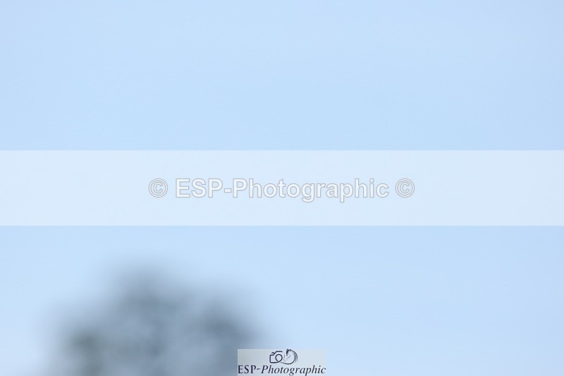 250823A-135757-31422 - Arena D