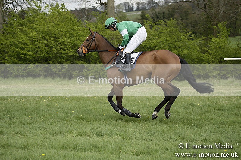 PtP 170417 144 - Old Berks Point-to-Point Lockinge 17/04/17