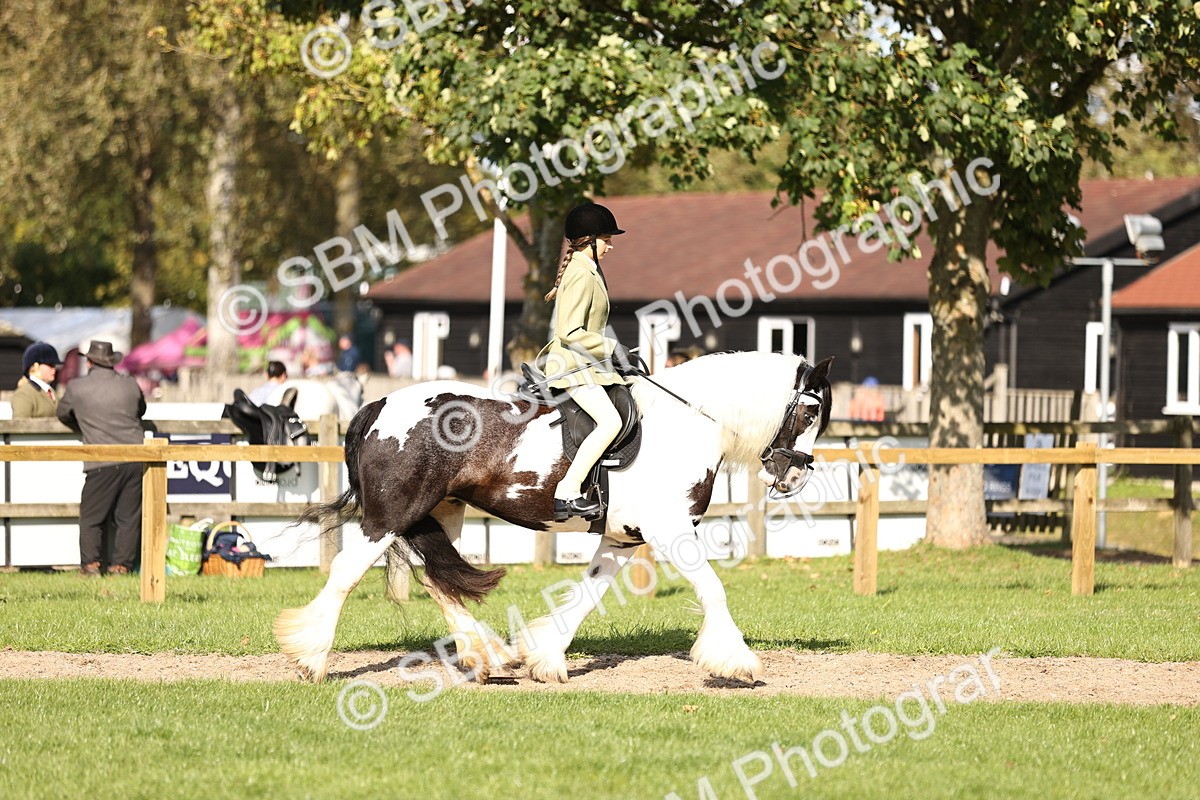 SBM_26331 - S6 - Novice & Newcomers Ridden Horse