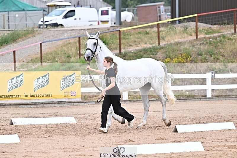 250716-134138-00636 - Trot Up 1.30 to 2.30