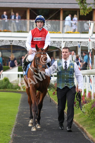 yr10062022r2-33 - Race 2 2.30pm SKF Rous Selling Stakes