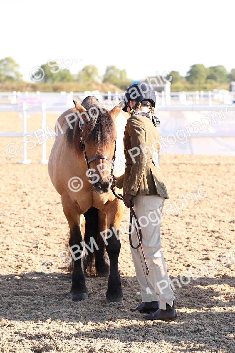 SBM_10774 - Class 201 - Best Turned Out - IH