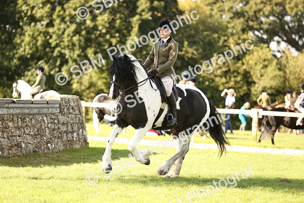 SBM_26429 - S6 - Novice & Newcomers Ridden Horse