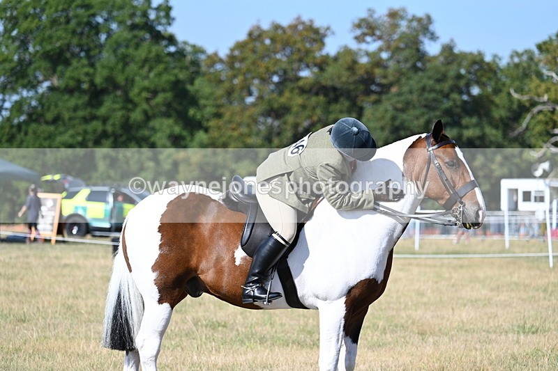 WJ7_2944 - Class 8 Ridden Tack & Turnout