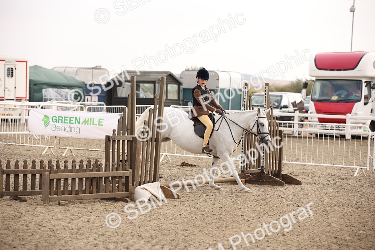 SBM_11654 - Class 404b Junior Working Veteran- 40cm(20+)