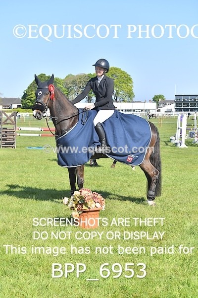 BPP_6953 - CLASS 1 Senior Newcomers/ 1.10m Open