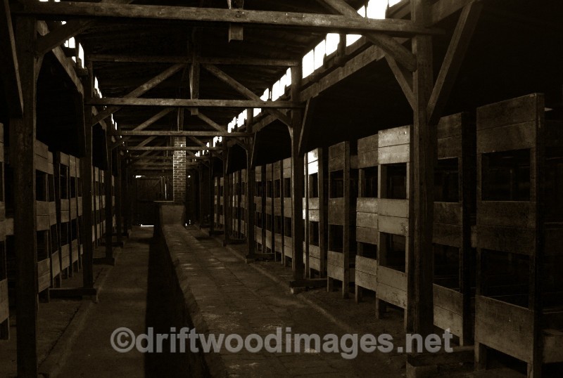 Birkenau  hut wooden bunks 2 sepia - Auschwitz/Birkenau