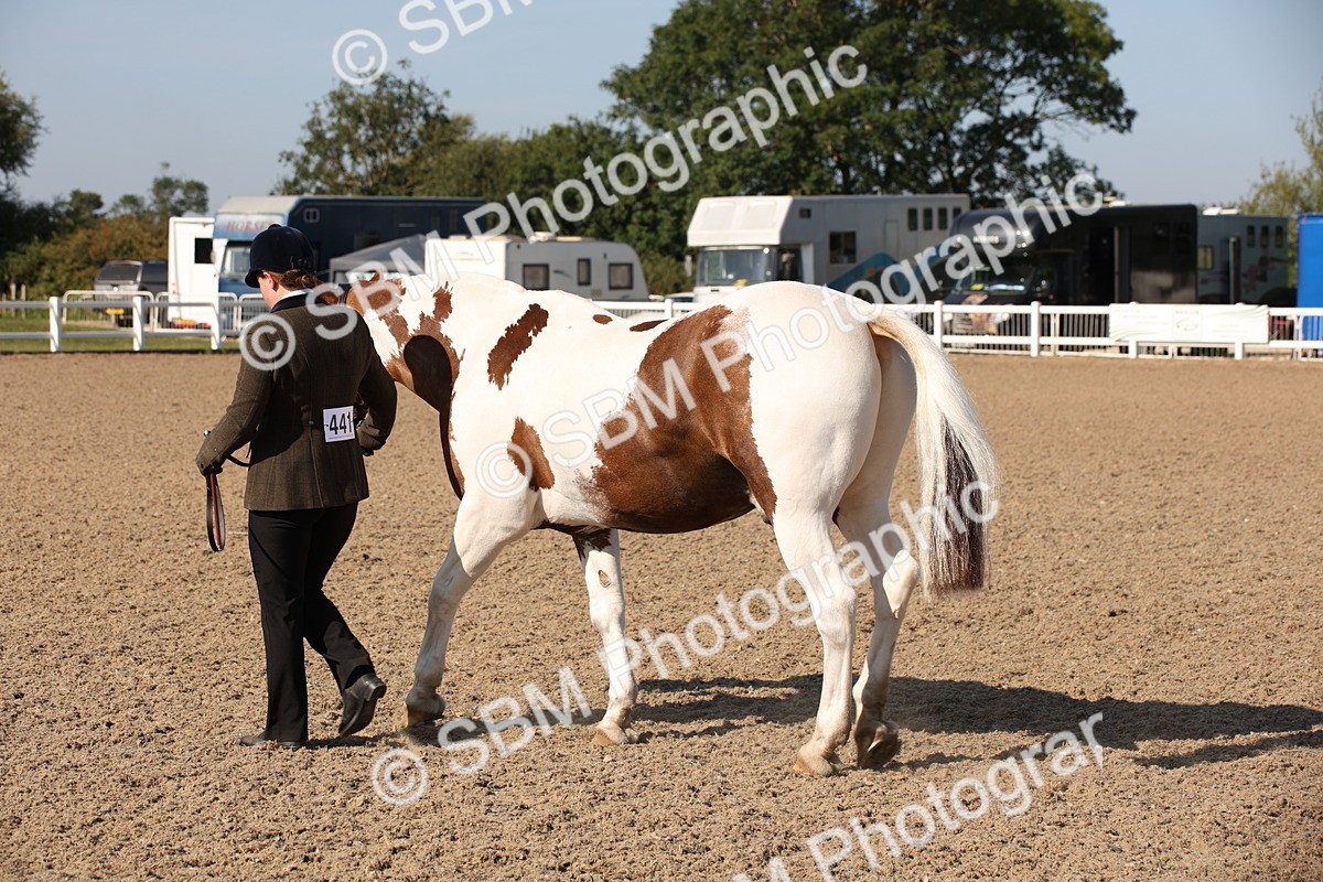 SBM_01505 - Class 15 IH Coloured