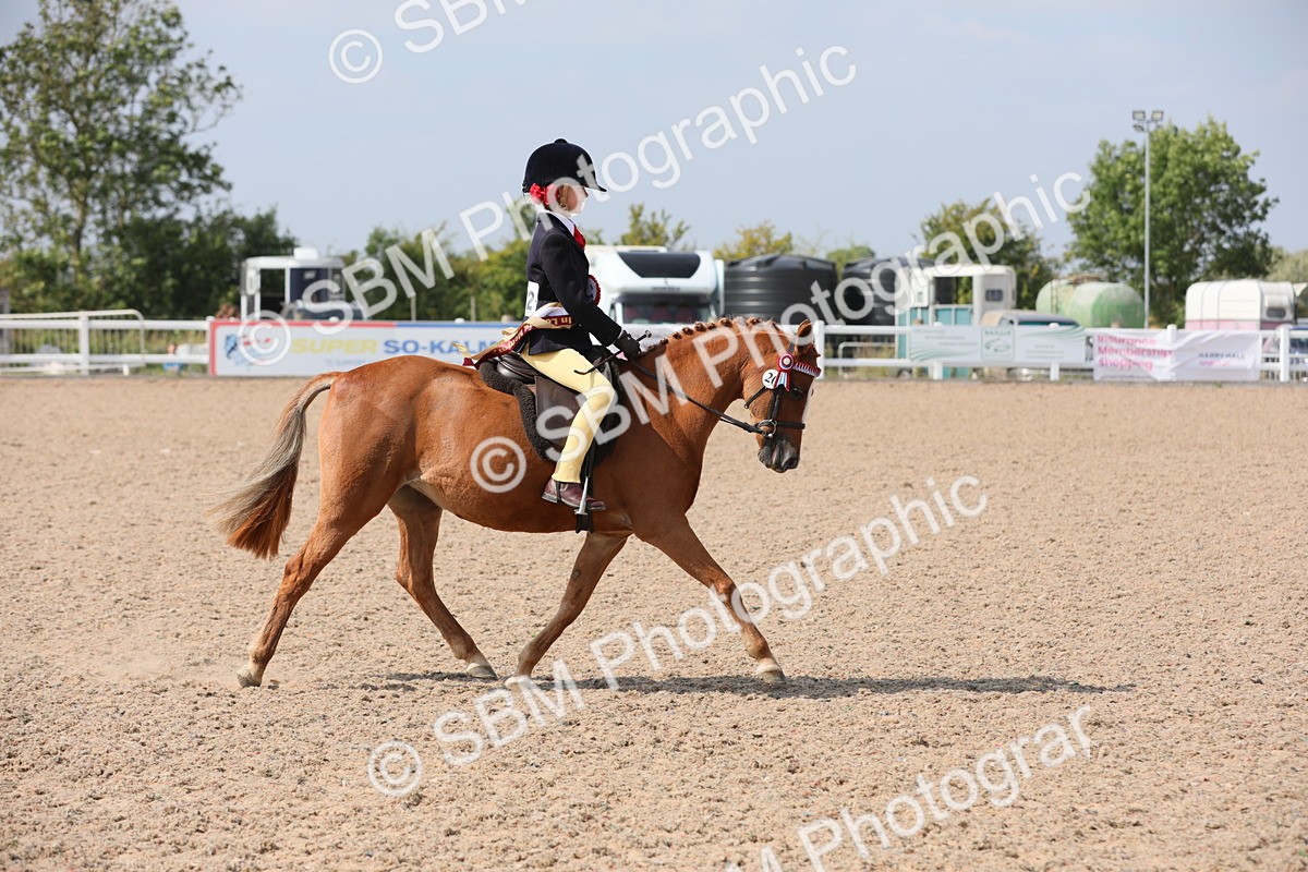 SBM_14784 - Class 310 First Ridden Pony