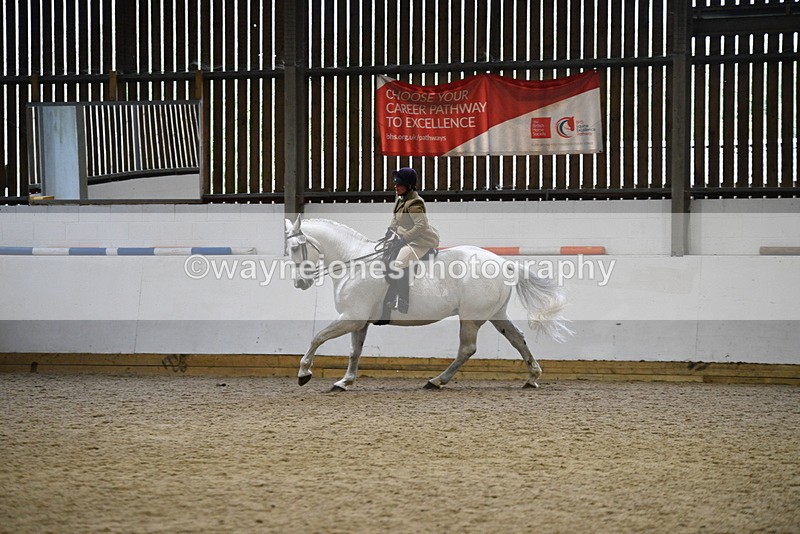 WJ5_9039 - Class 15 Ridden Show Horse