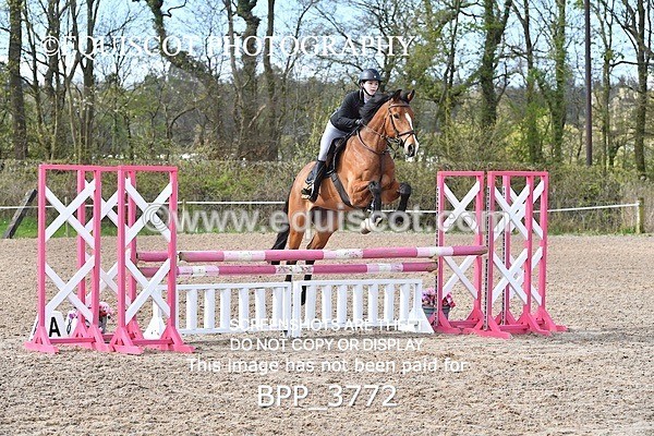 BPP_3772 - CLASS 3 FRI Senior British Novice/ 90cm Open