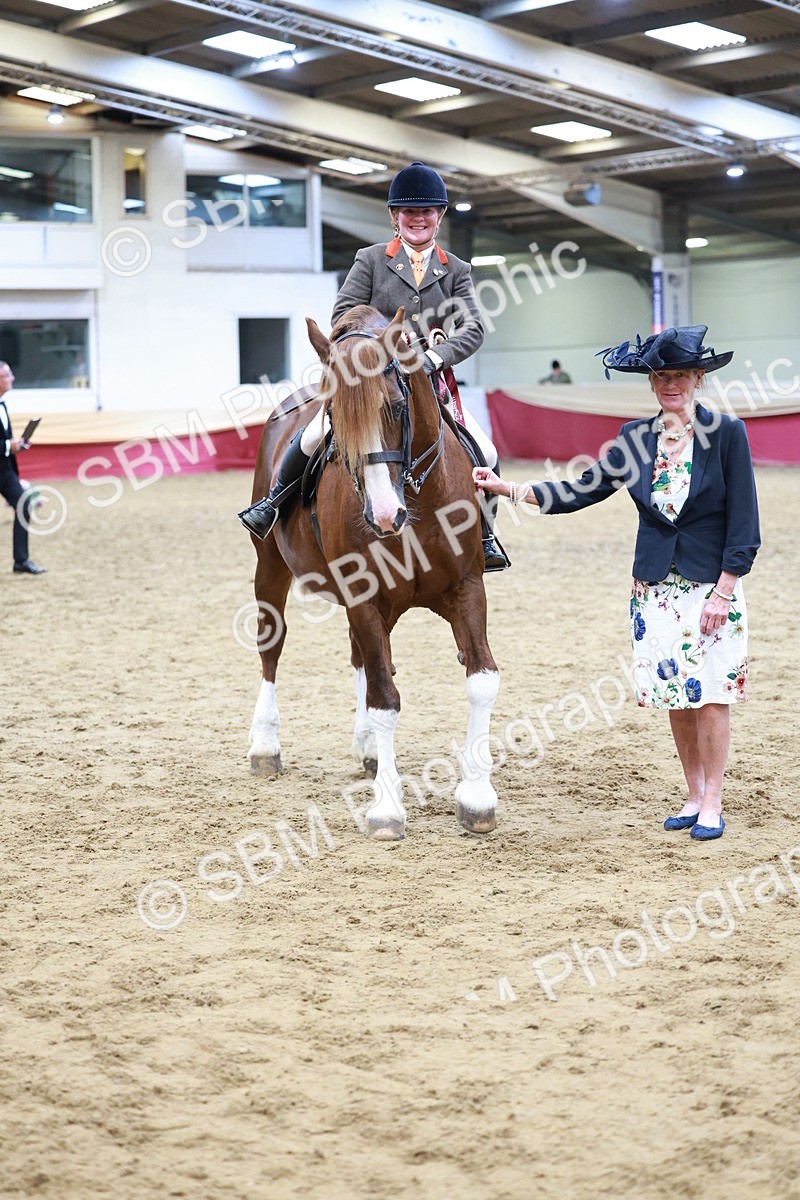 SBM_18901 - Class 952 - M&M Ridden Supreme Final