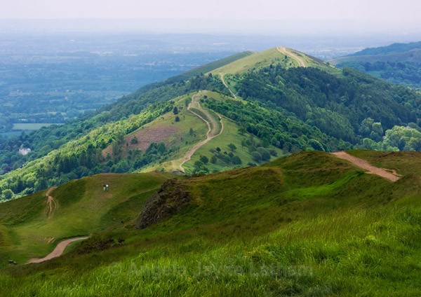 Summer Greens - The Malvern Hills