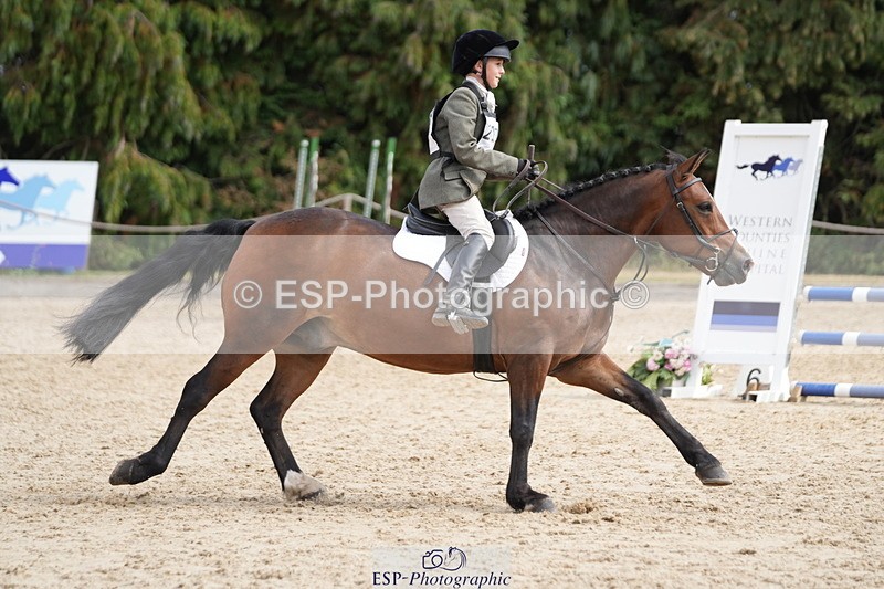250824A-134120-37630 - 2147-George.Walford-meadow.sweet.conker
