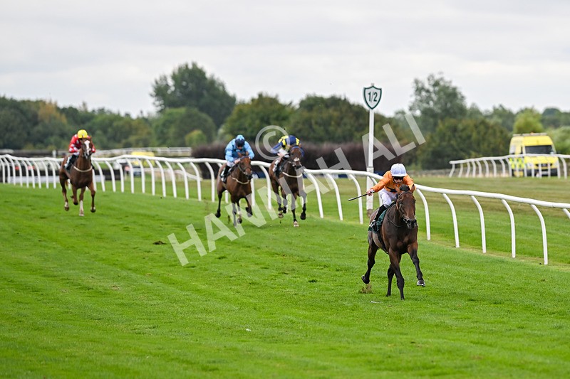 180825-Race 4-Alther Walden-8694 - Race 4