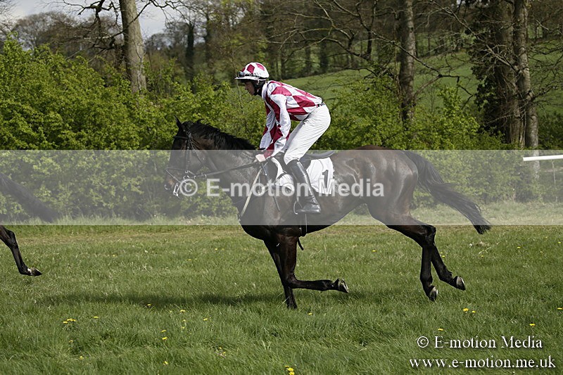 PtP 170417 246 - Old Berks Point-to-Point Lockinge 17/04/17