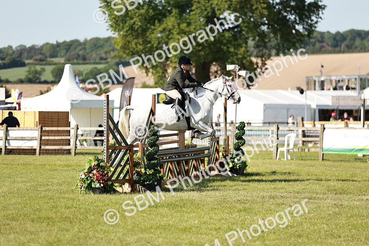 SBM_19201 - Class 115-116 - LIHS BSHA Rising Star Working Hunter & Show Horse
