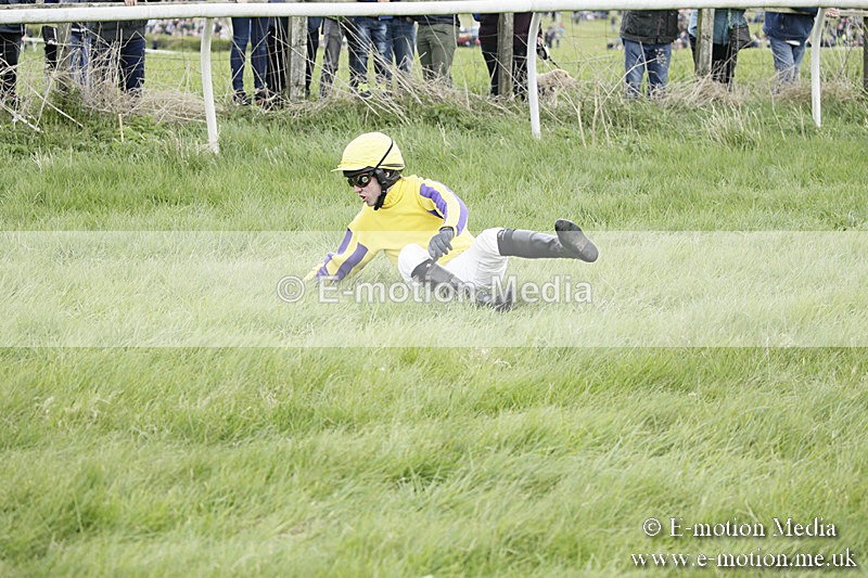 PtP 170417 50 - Old Berks Point-to-Point Lockinge 17/04/17