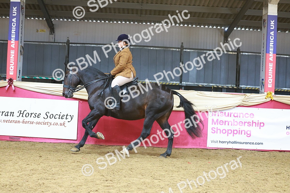 SBM_09434 - Class 102 - HOYS Veteran Qualifier - Ridden Veteran