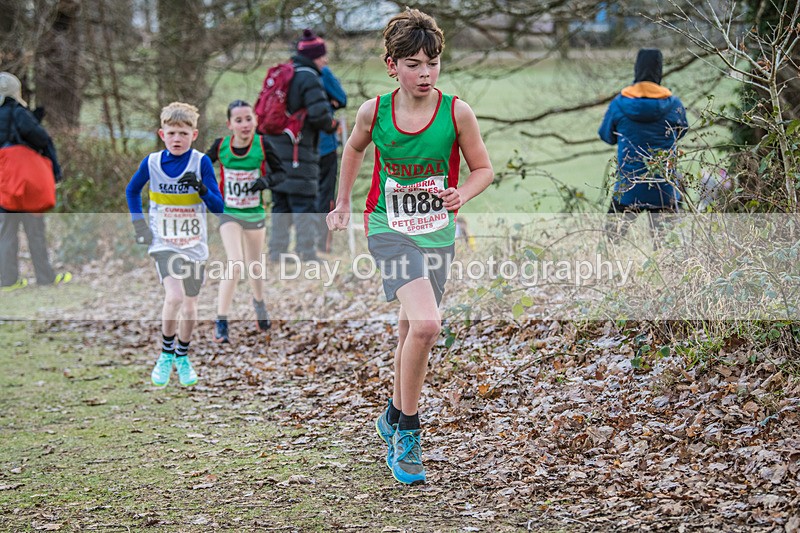 Cumbria XC-23 - Cumbria Cross Country Championships (Junior & Senior Races) Saturday 3rd January 2026