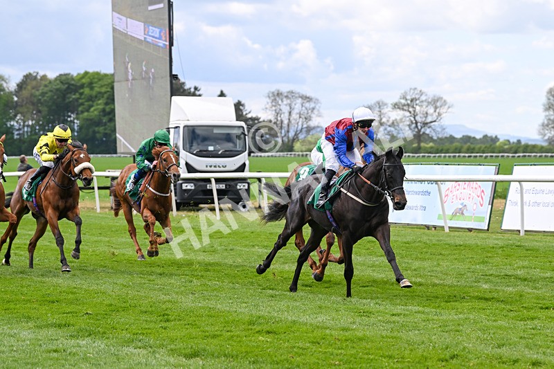 030525-Race 2-Under The Radar-2591 - Race 2