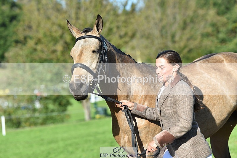 231022-110842-23754 - 498-SILVERLININGS.APHRODITE-Emily.Dobson-TrotUp+SJ