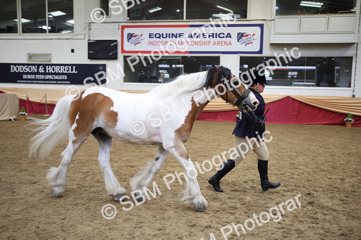 SBM_23427 - Class 904 - Supreme Final Ridden Diamond