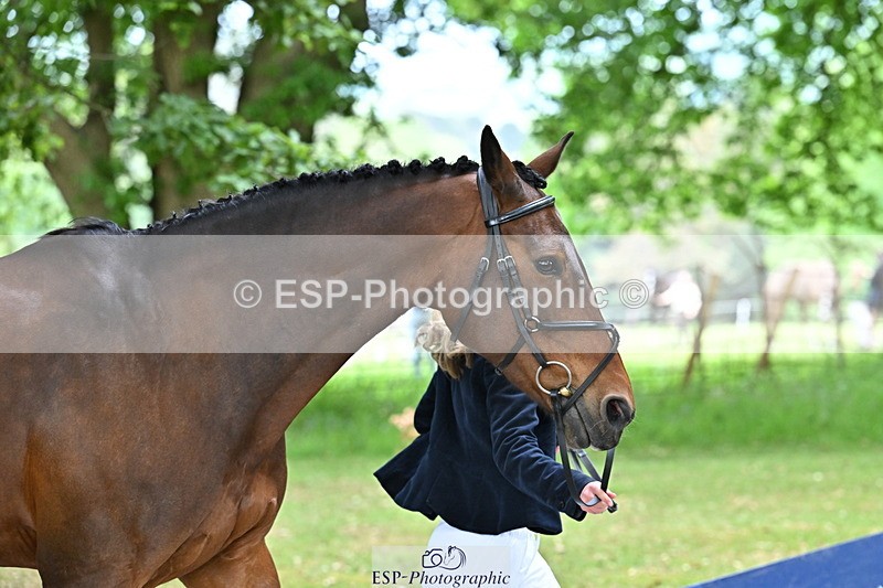 250521A-144223-00180 - A-054-Alice.Gates-SHANBEG.PANDORA