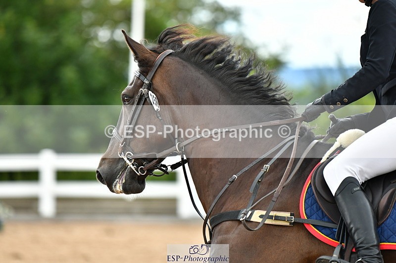 230721A-121531-06061 - Cls 18, 1 Star Silver 1.20m