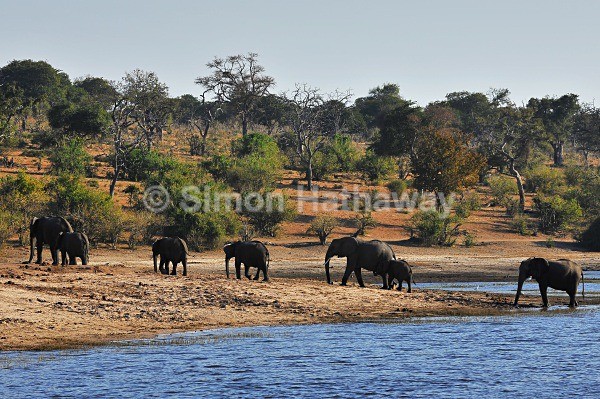  - Botswana