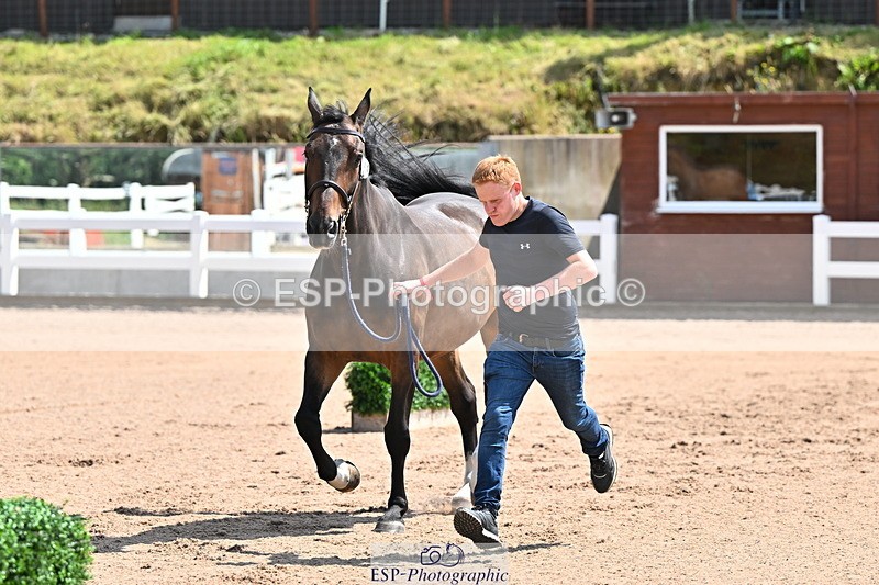 240718A-105239-00982 - Trot Up 11am to 12pm