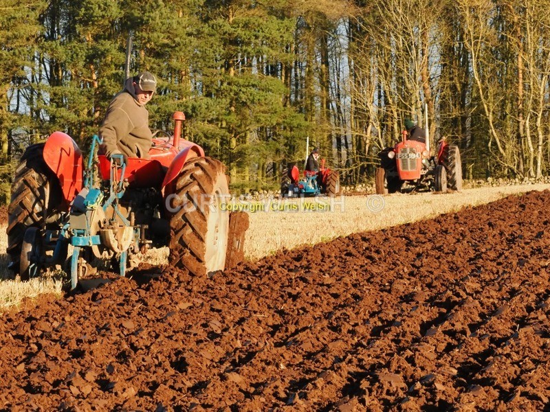 P1140263 2 - BVAA Ploughing Match  13/14 January 2024