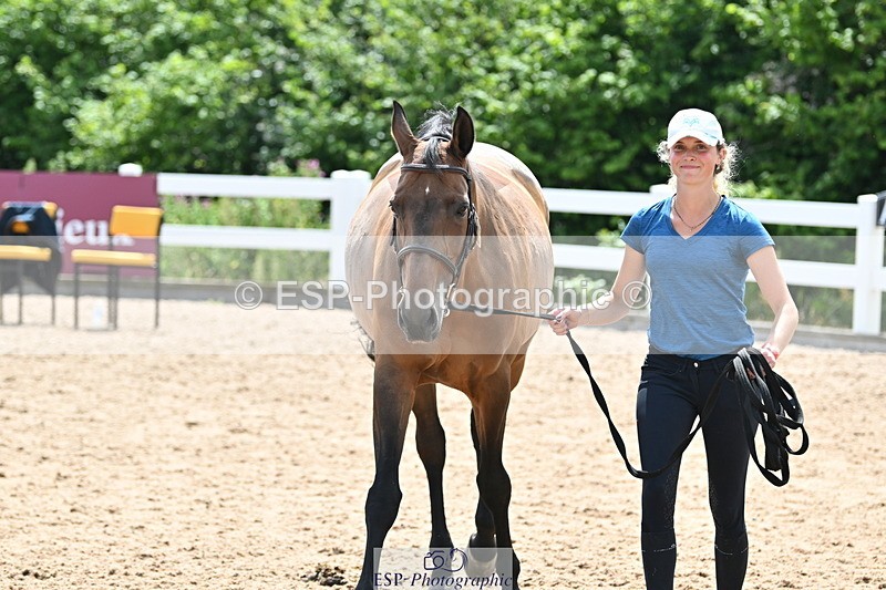 240717A-144813-02305 - Trot Up 2pm to 3pm - This folder is not in time order