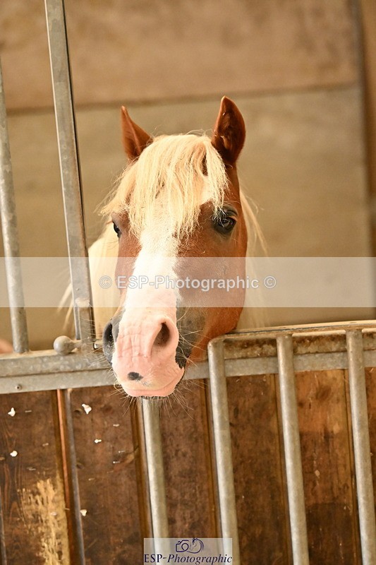 250821B-140947-00485 - Stable Shots and Group Photo