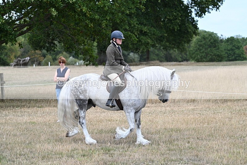 WJ7_4754 - Class 12 Ridden Cob
