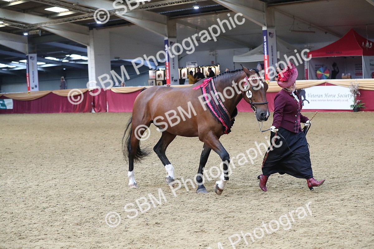SBM_10785 - Class 103 IH Costume