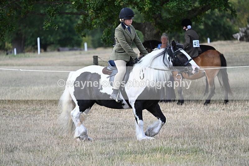 WJ7_6863 - Class 14 Ridden Coloured