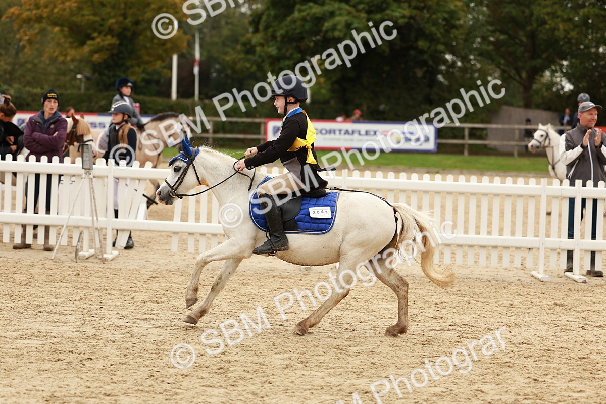 SBM_58123 - J11 - Junior Pony 50cm Championship