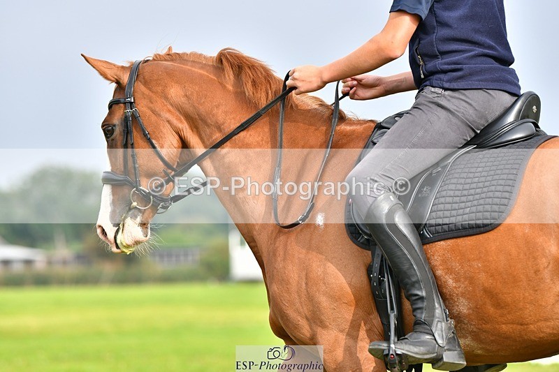 230817-091449-02510 - Abbie's 1st Group - Dressage