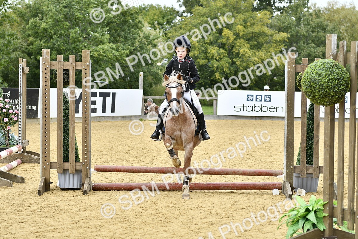SBM_65516 - J2a mini Tour Junior Pony 30cm Championship