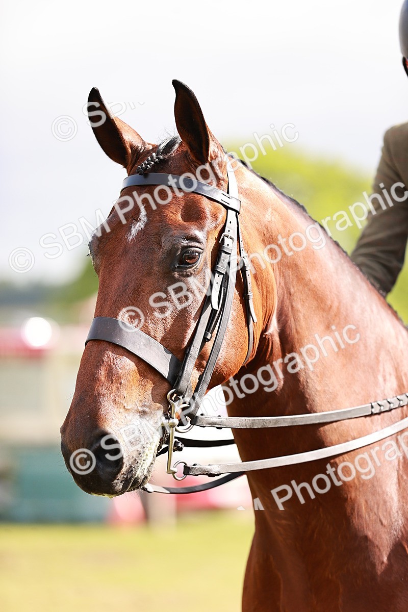 SBM_10823 - Class 81-84 - RIHS Ridden hunters Inc Ladies Hunter