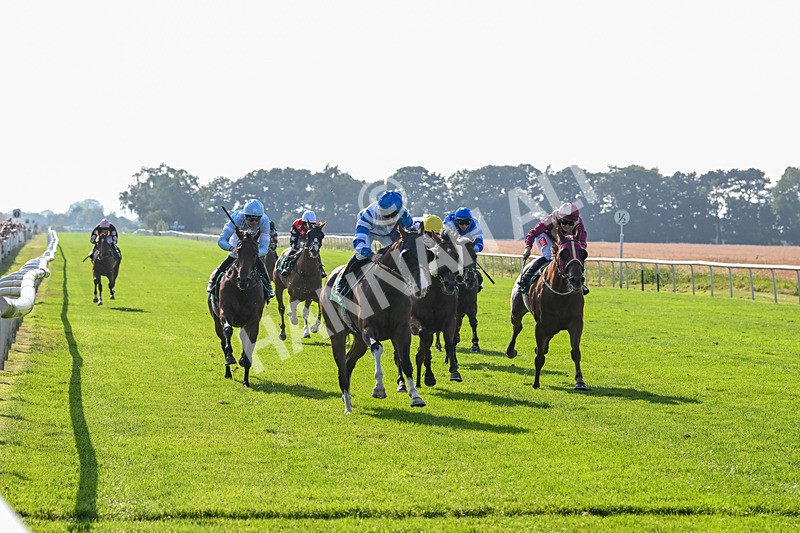 300824-Race 6-Havana Sky-6373 - Race 6