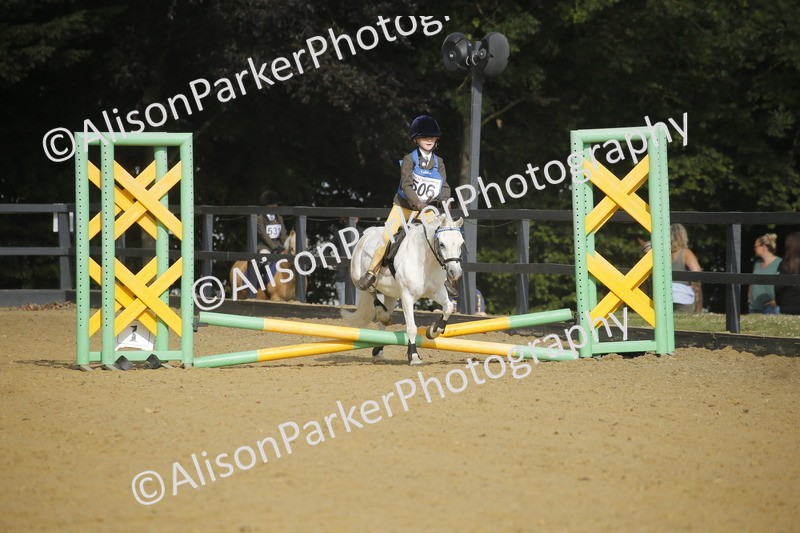 20250622-1207 - 40cm