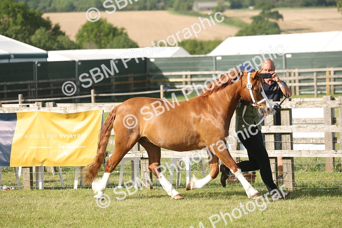 SBM_10442 - Class 33-38 - SSADL RIHS Qualifiers